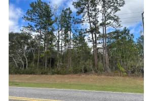 3103 CITRUS SPRINGS BOULEVARD, CITRUS SPRINGS, FL 34433 Sold 03/27/25