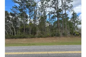 3103 CITRUS SPRINGS BOULEVARD, CITRUS SPRINGS, FL 34433 Sold 03/27/25