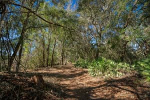 18434 24TH STREET, SILVER SPRINGS, FL 34488 - MLS#MFROM695655