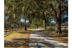12330 35TH STREET, OCALA, FL 34482 - MLS#MFROM695661