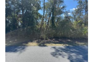 Lot 14 SW 139TH STREET ROAD, OCALA, FL 34473 - MLS#MFROM695702