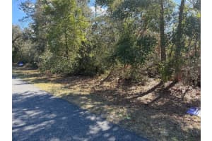 Lot 15 SW 139TH STREET ROAD, OCALA, FL 34473 - MLS#MFROM695711
