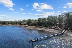 17153 79TH STREET ROAD, OCKLAWAHA, FL 32179 Sold 05/27/25