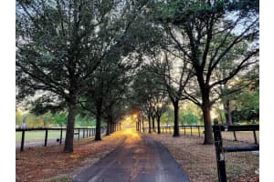 8585 162ND COURT, MORRISTON, FL 32668 Sold 05/22/25