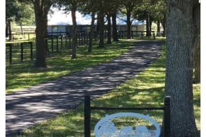 8585 162ND COURT, MORRISTON, FL 32668 Sold 05/22/25