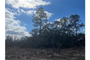 27 FREESIA COURT, HOMOSASSA, FL 34446 Sold 07/29/25