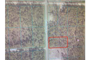 0 SW 129 TERRACE ROAD, DUNNELLON, FL 34432 Sold 03/21/25