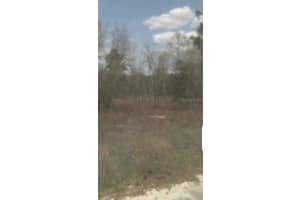 Lot 18 62ND STREET, OCALA, FL 34481 Sold 05/20/25