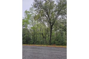TBD HEMLOCK COURSE, OCALA, FL 34472 - MLS#MFROM695886