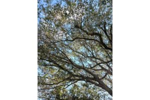 158, DUNNELLON, FL 34432 - MLS#MFROM695898