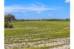 TBD 13TH STREET, DUNNELLON, FL 34431 - MLS#MFROM695903