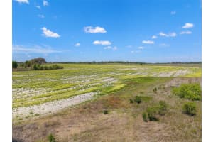TBD 13TH STREET, DUNNELLON, FL 34431 - MLS#MFROM695903
