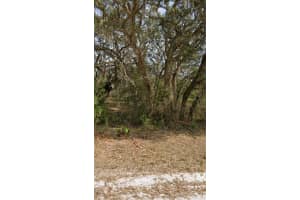 6281 169TH COURT, OCALA, FL 34481 Sold 04/03/25