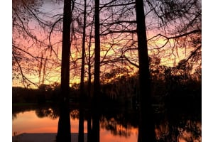 11720 CHEROKEE CIRCLE, DUNNELLON, FL 34431 Sold 08/05/25