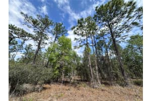 TBD ANCHOR BOULEVARD, DUNNELLON, FL 34431 Sold 09/11/25