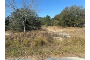 0000 OAK RUN PLACE, OCALA, FL 34472 - MLS#MFROM696048