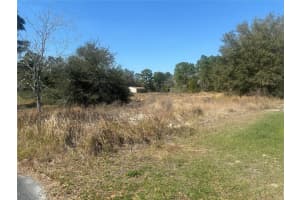 0000 OAK RUN PLACE, OCALA, FL 34472 - MLS#MFROM696048