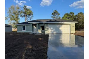 12199 88TH COURT, BELLEVIEW, FL 34420 Sold 03/28/25