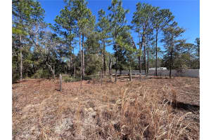 NE 3RD PL, WILLISTON, FL 32696 - MLS#MFROM696080