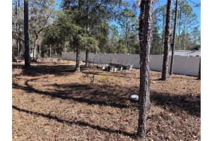 NE 3RD PL, WILLISTON, FL 32696 - MLS#MFROM696080
