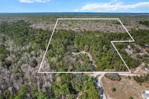8190 CHASSAHOWITZKA STREET, HOMOSASSA, FL 34448 Sold 06/06/25
