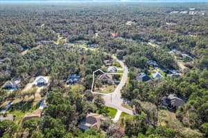 206 DAISY STREET, HOMOSASSA, FL 34446 - MLS#MFROM696189