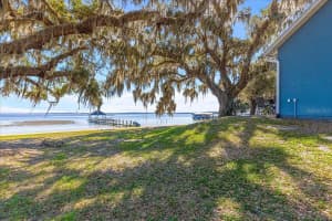 12336 E HIGHWAY 25, OCKLAWAHA, FL 32179 - MLS#MFROM696216