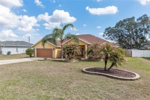 234 LOCUST PASS LOOP, OCALA, FL 34472 Sold 05/19/25