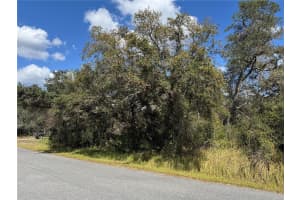 164 OAK CIRCLE, OCALA, FL 34472 Sold 05/20/25