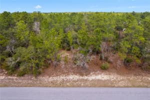 4201 FOUNTAIN LANE, CITRUS SPRINGS, FL 34433 Sold 12/18/25