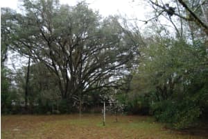 16301 138TH COURT, FORT MC COY, FL 32134 Sold 07/16/25