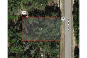 6002 MATHESON DRIVE, CITRUS SPRINGS, FL 34434 Sold 05/23/25