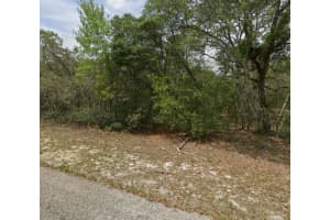 6002 MATHESON DRIVE, CITRUS SPRINGS, FL 34434 Sold 05/23/25