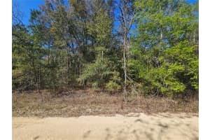 1791 129TH AVENUE, WILLISTON, FL 32696 - MLS#MFROM696356