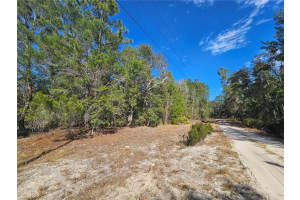 1791 129TH AVENUE, WILLISTON, FL 32696 - MLS#MFROM696356