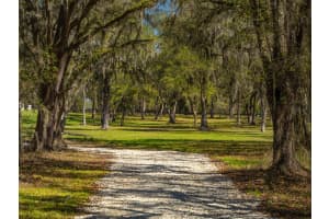 13037 115TH STREET, OCALA, FL 34482 - MLS#MFROM696377