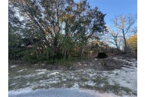 0 147TH STREET ROAD, OCALA, FL 34473 - MLS#MFROM696430