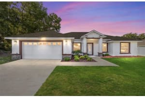 8330 161ST STREET, SUMMERFIELD, FL 34491 - MLS#MFROM696473