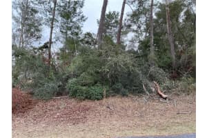 LOT 11 162ND PLACE, OCALA, FL 34473 Sold 06/10/25