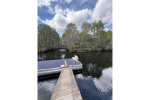 16 PALM DRIVE, YANKEETOWN, FL 34498 - MLS#MFROM696533
