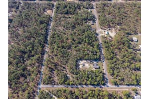 Lot 4 FIG TREE LANE, DUNNELLON, FL 34431 Sold 03/31/25