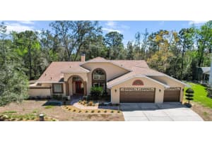 17 JUNGLEPLUM COURT, HOMOSASSA, FL 34446 Sold 05/23/25