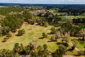 18601 160TH AVENUE, WILLISTON, FL 32696 - MLS#MFROM696612