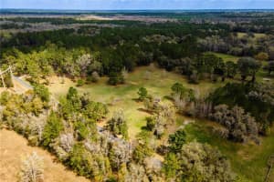 18601 160TH AVENUE, WILLISTON, FL 32696 - MLS#MFROM696612