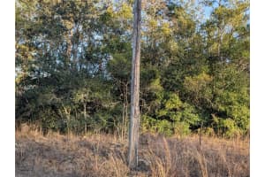 8949 LANSEN WAY, CITRUS SPRINGS, FL 34433 - MLS#MFROM696689