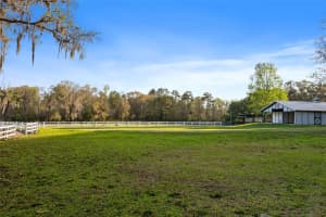 9295 193RD STREET, REDDICK, FL 32686 Sold 04/03/25