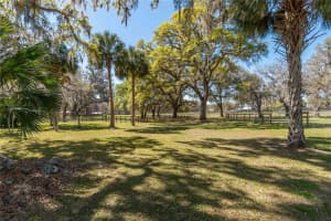 15651 115TH COURT, REDDICK, FL 32686 Sold 05/01/25