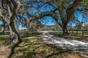 15651 115TH COURT, REDDICK, FL 32686 Sold 05/01/25