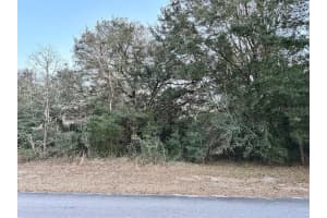 0 55TH COURT ROAD, OCALA, FL 34473 Sold 05/12/25