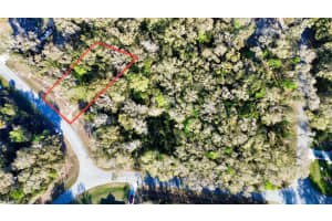 000 LOCUST DRIVE PASS, OCALA, FL 34472 - MLS#MFROM696825